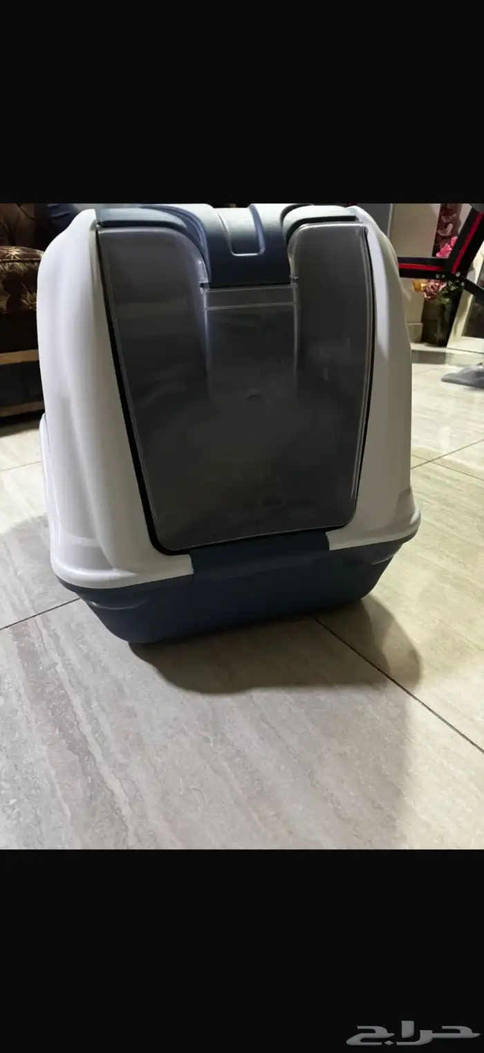 للتبني قط ذكر شيرازي لعوب وونيس 2