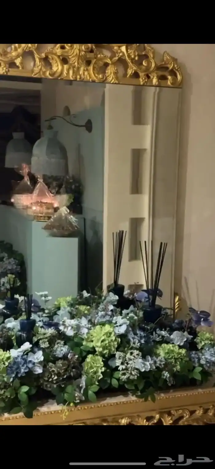 استقبال مولود مع البوابه 1