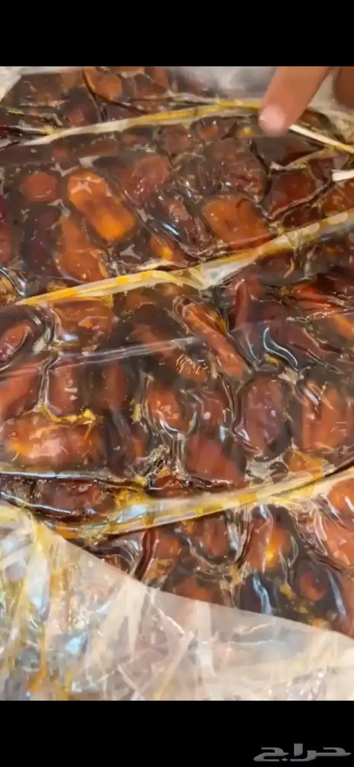 تمر خلاص الاحساء 1