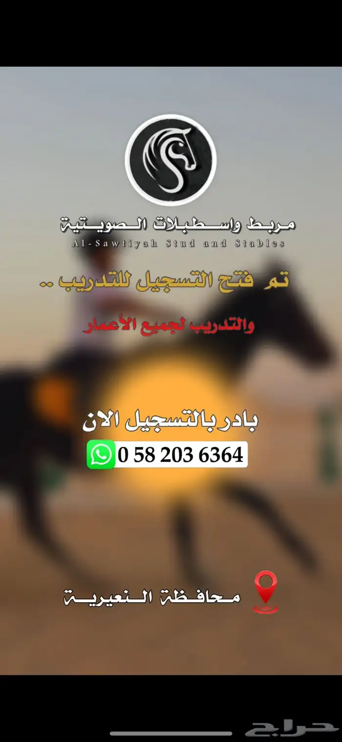 اسطبل خيل للإيجار فالنعيريه 4