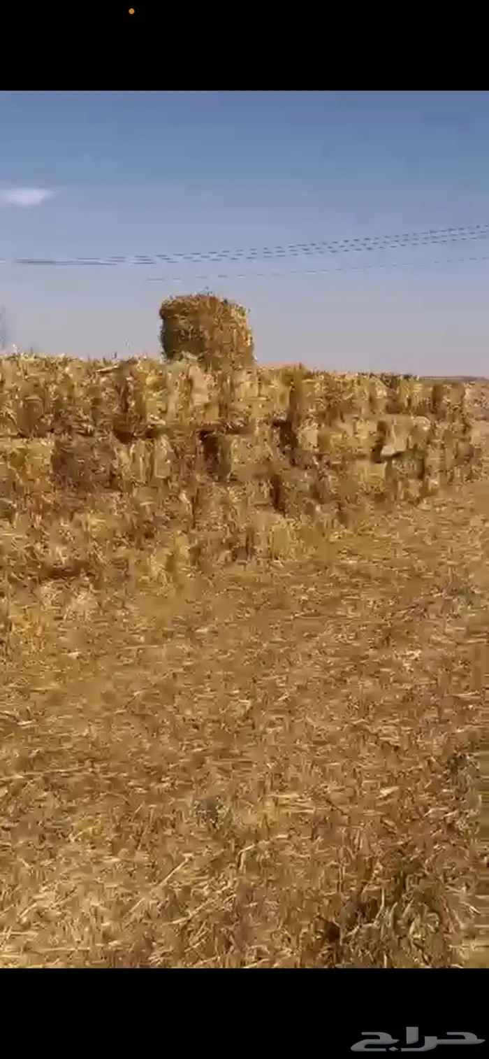 تبن بر حويل 1