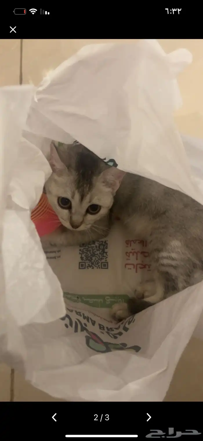 سكوتش ستريت 2