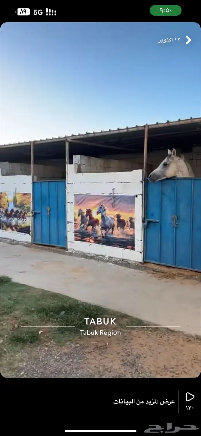 اسطبل 8 غرف 2