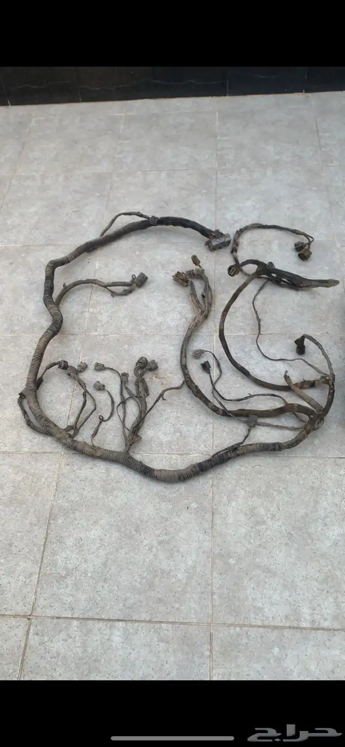 ظفيره اسيزو 0