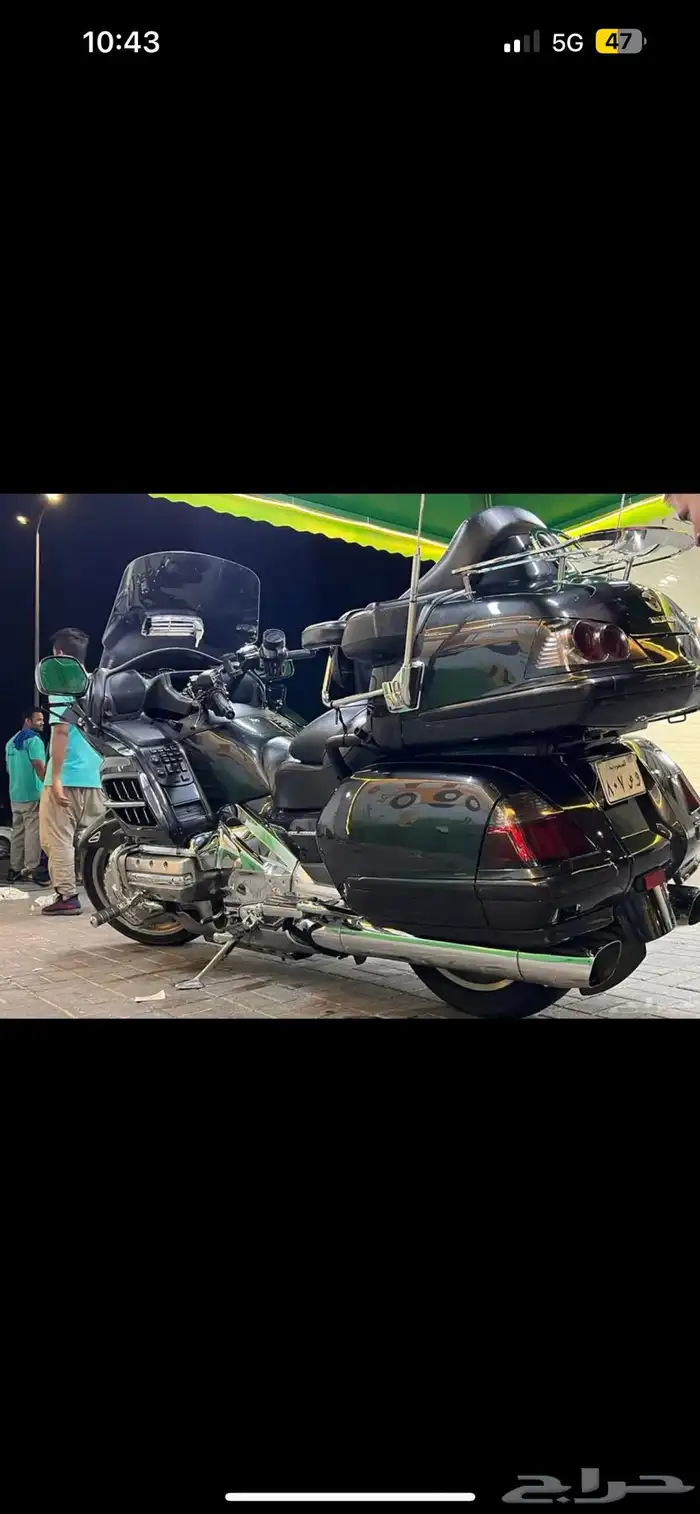 قولد وينق 2010 8