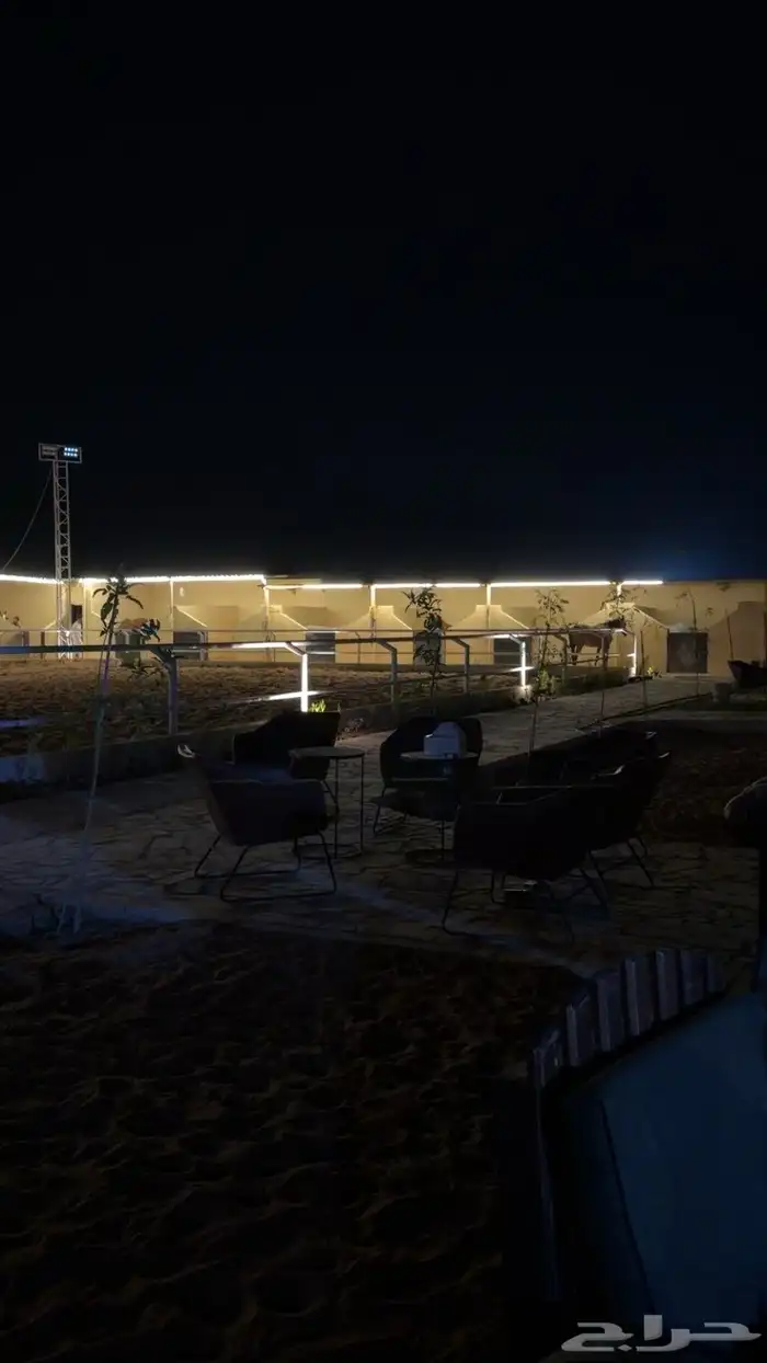 ايواء وتدريب خيل 1