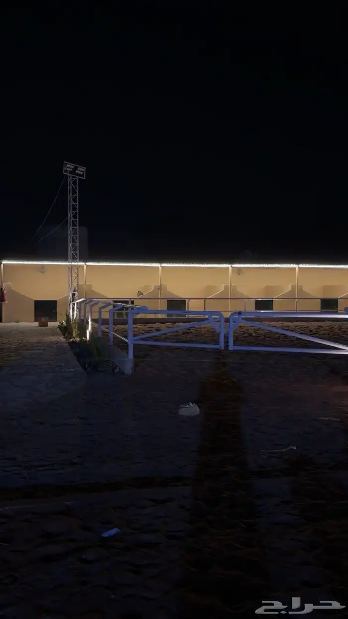 ايواء وتدريب خيل 2