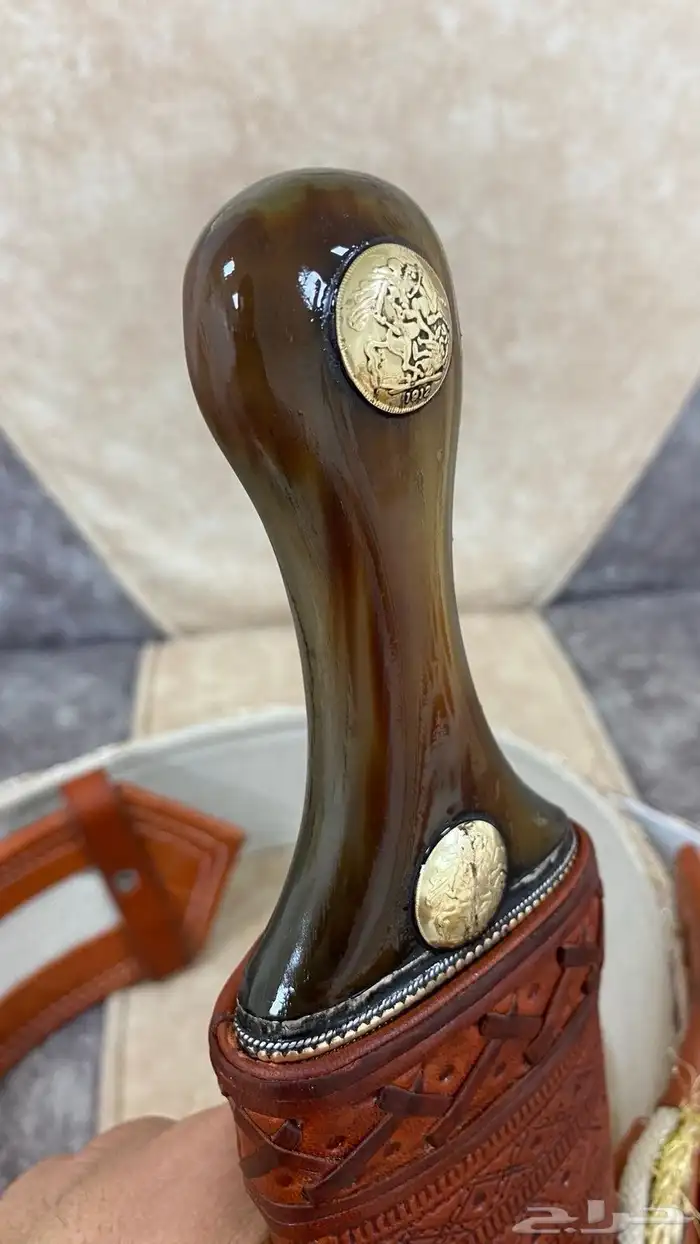 جنبيه قرن درماء 2