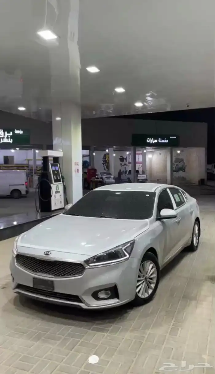 كادينزا 2018 2