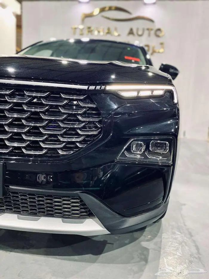 فورد تيريتورى ترند موديل 2026 4