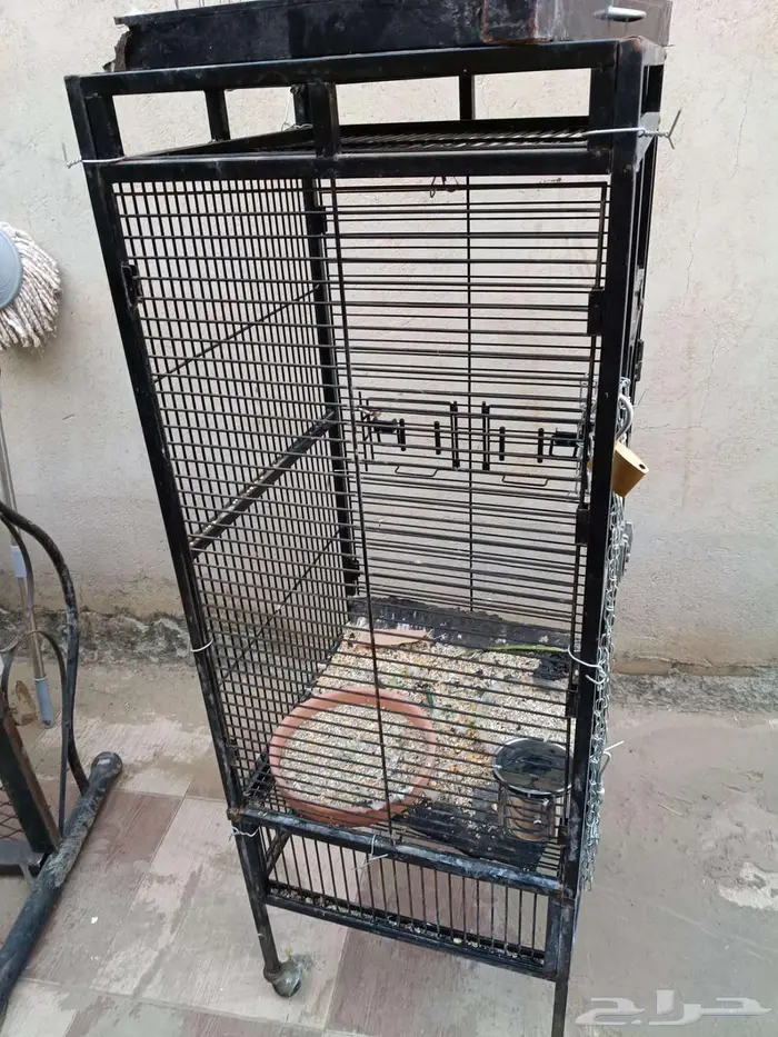 شبك كاسكو البيع 3