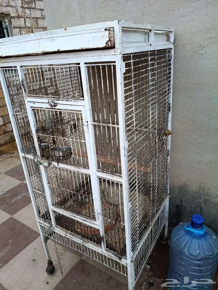 شبك كاسكو البيع 2