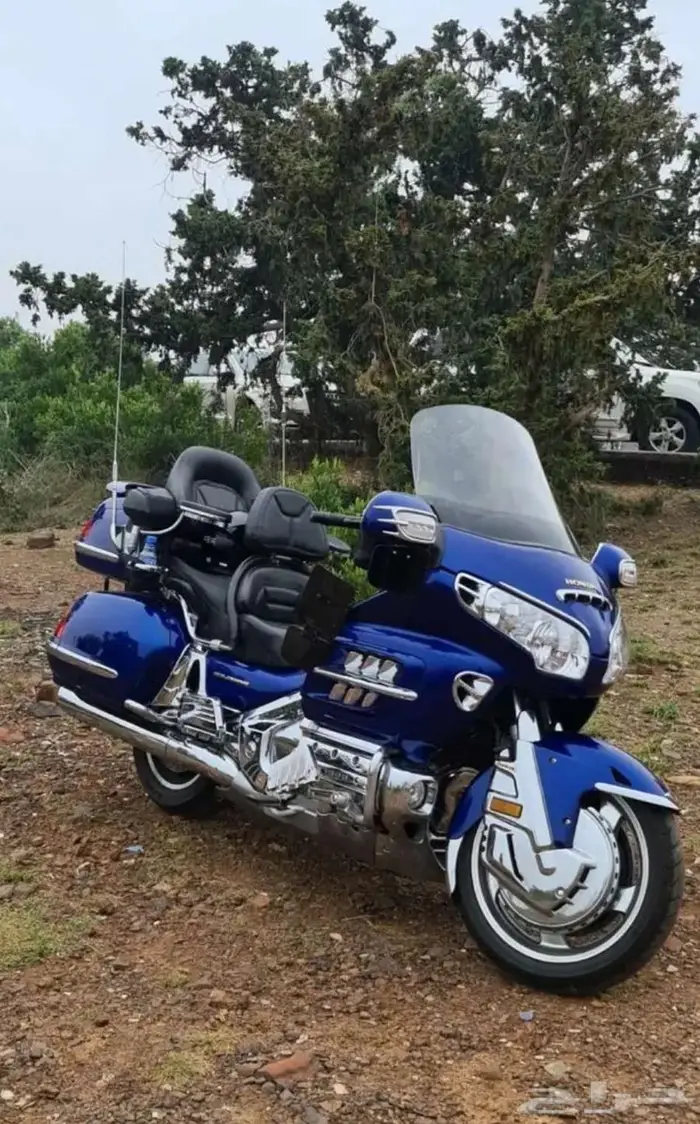 قولد وينق abs 0