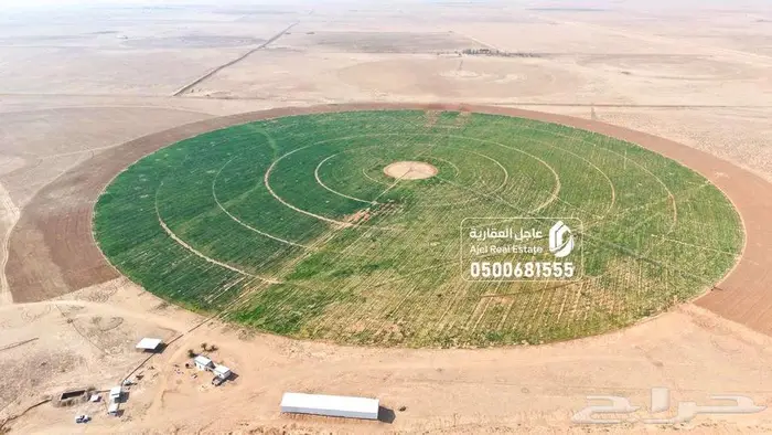 مزرعة للبيع في حائل 2