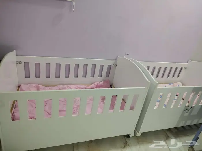 القصيم بريدة 0