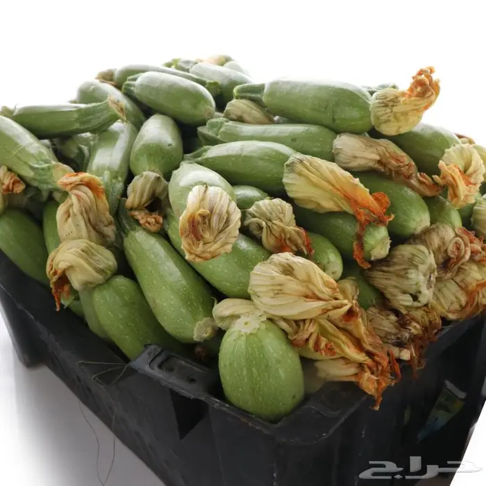 توصيل خضروات القصيم بالجملة إلى جميع مدن المملكة 0