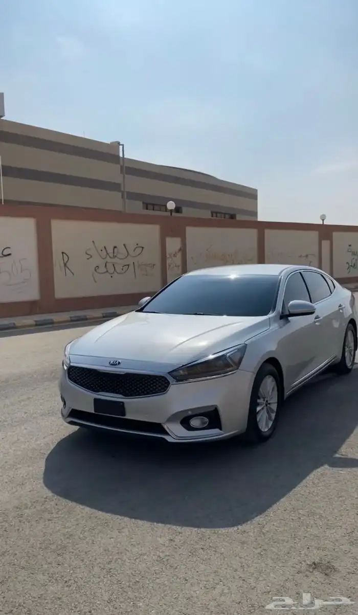 كادينزا 2018 6