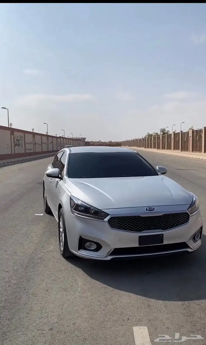 كادينزا 2018 1