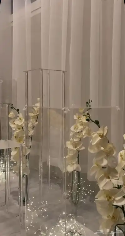 استقبال واستاندات index