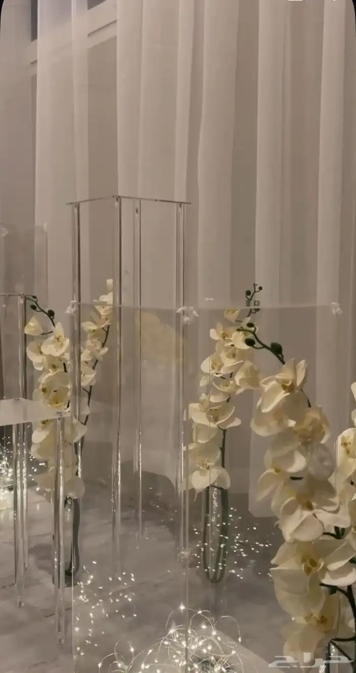 استقبال واستاندات 0