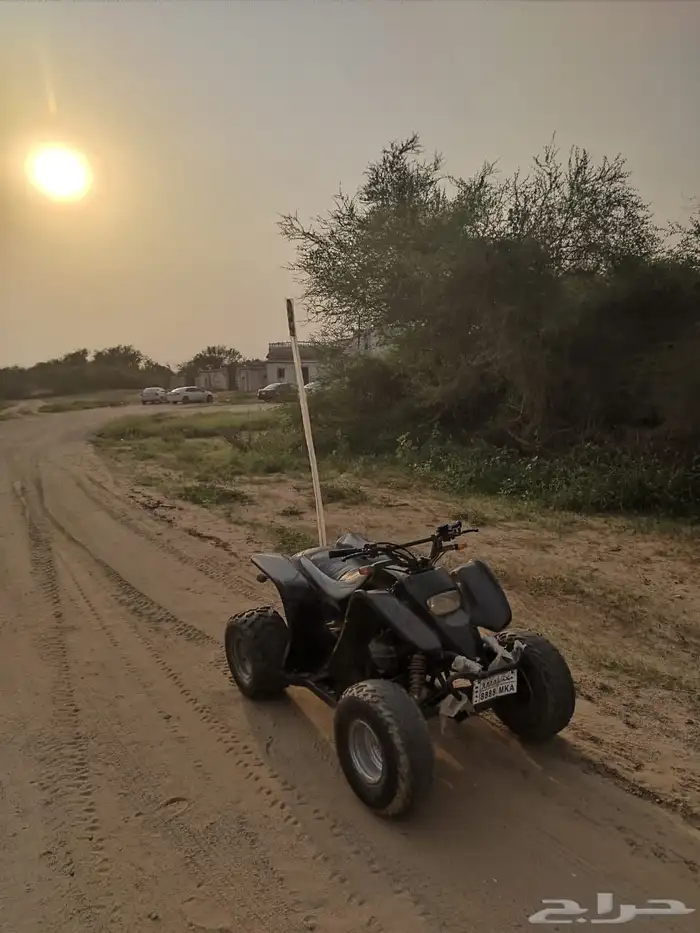 دباب نظيف سويد 1