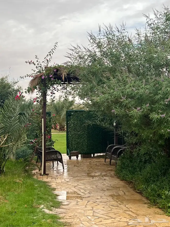 استراحه للايجار اليومي بالقديه ضرما 400 6