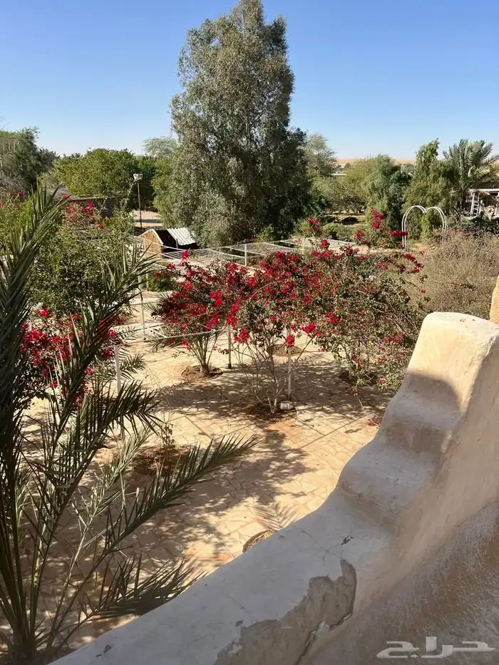 مزرعه للبيع شمال الرياض 2
