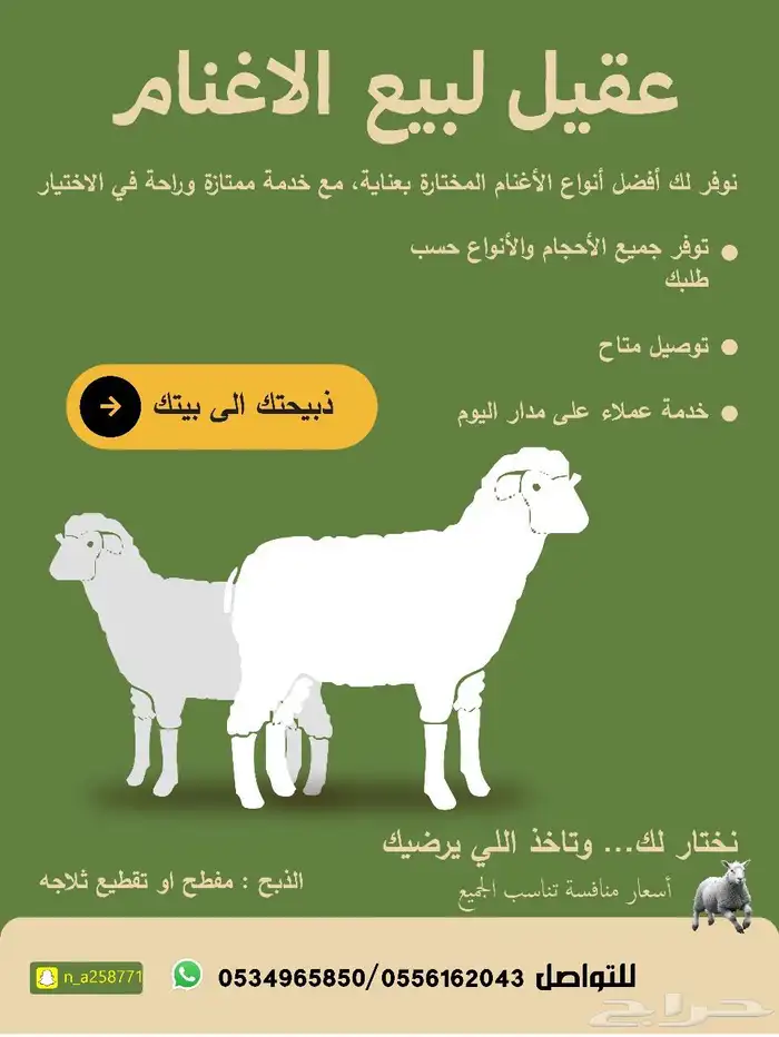 غنم نعيم هريفي 0