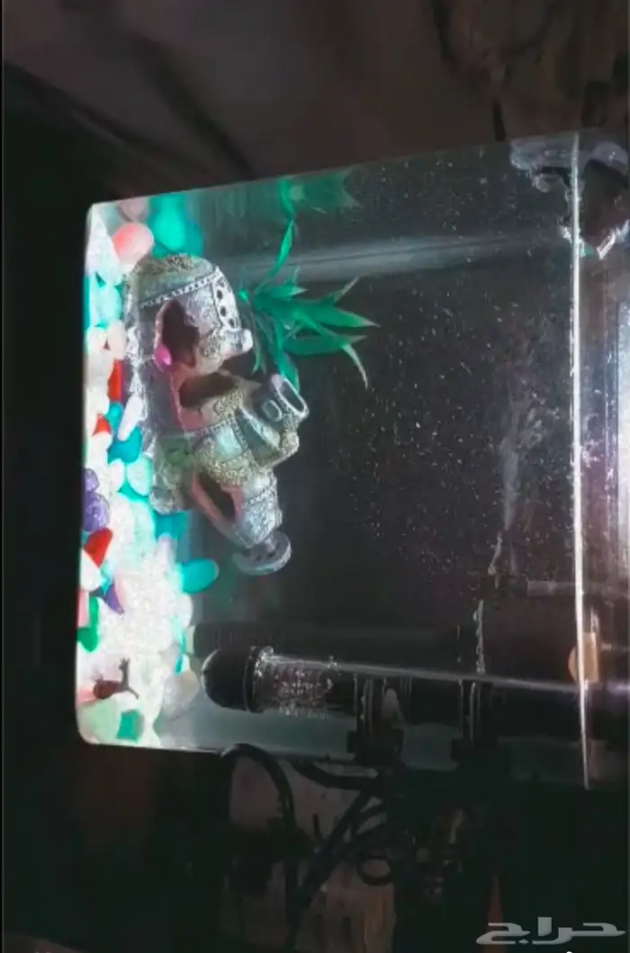 حوض سمك جودته عاليه وقزازه ثقيل وصعب الكسر 3