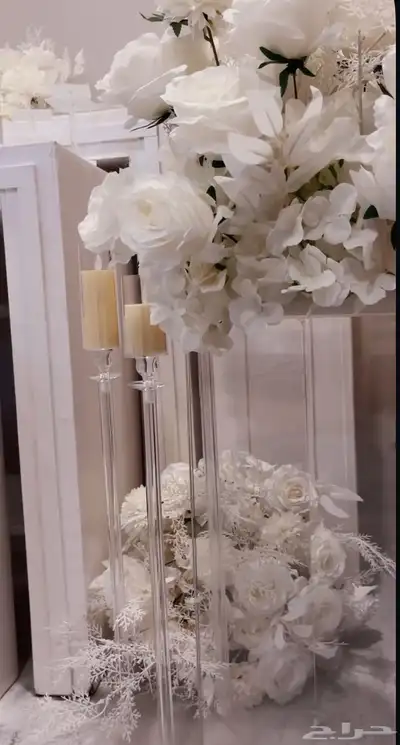 استقبال واستاندات index