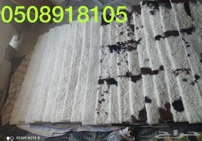 طفيلي فروة جلد طبيعي عرض خاص 84