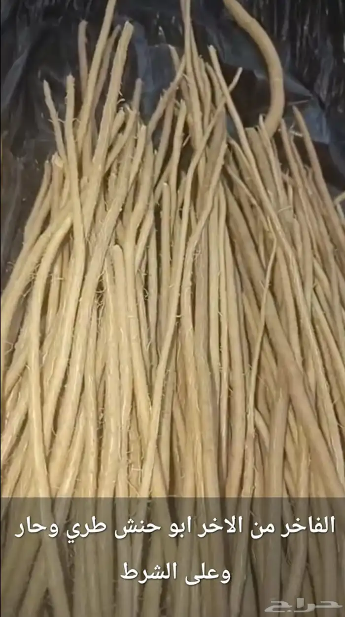 مساويك حلي ابو حنش 1