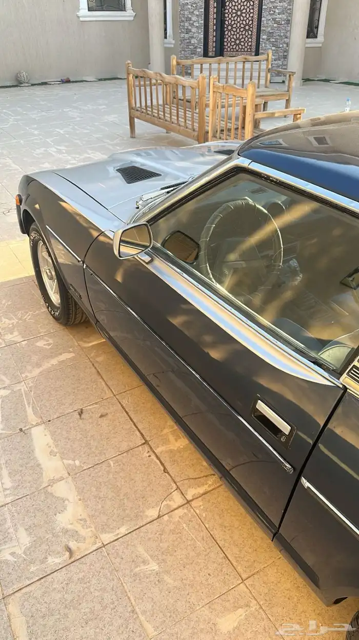 للبيع زد فورسيت 79 1