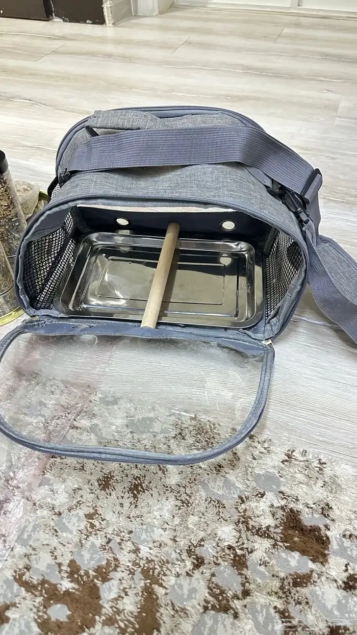 كروان البينو 2