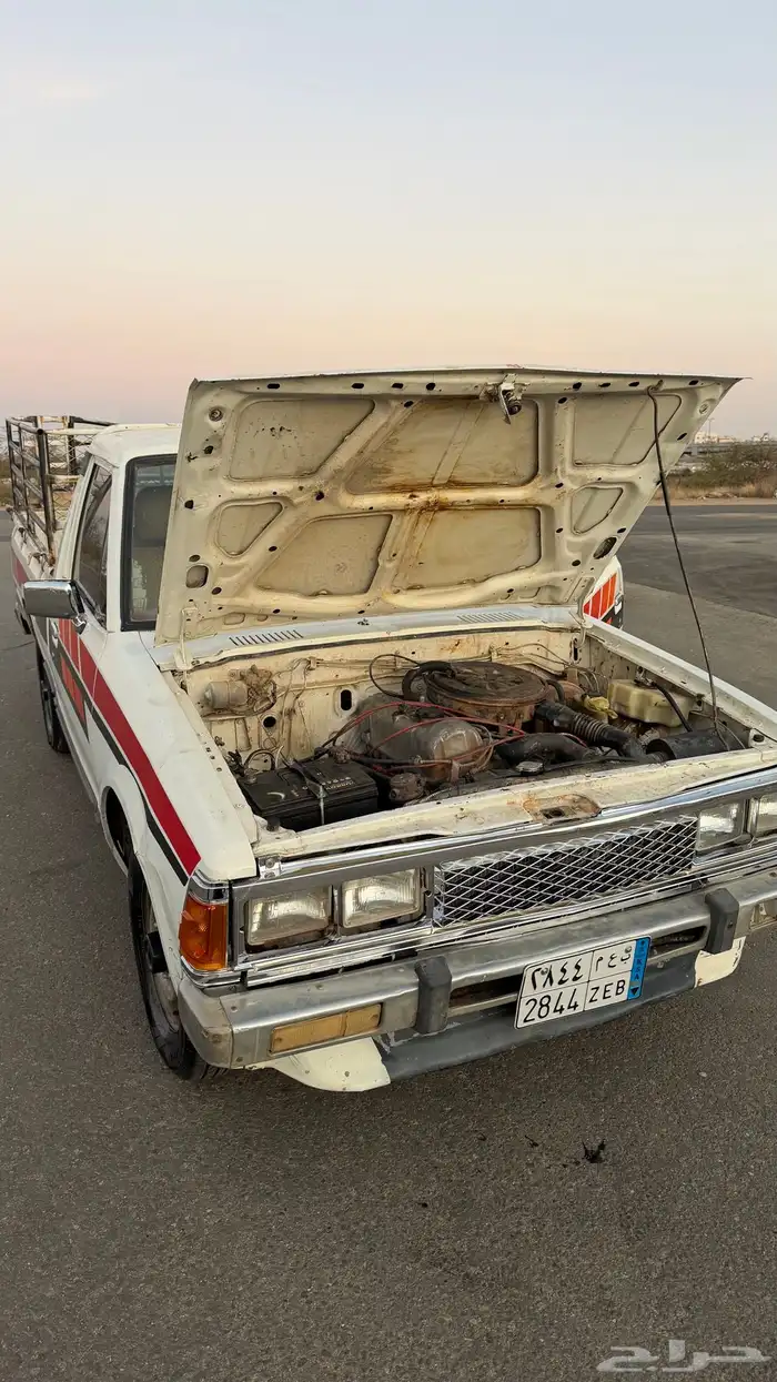 ددسن 83 غماره مفحوص مجدد 12