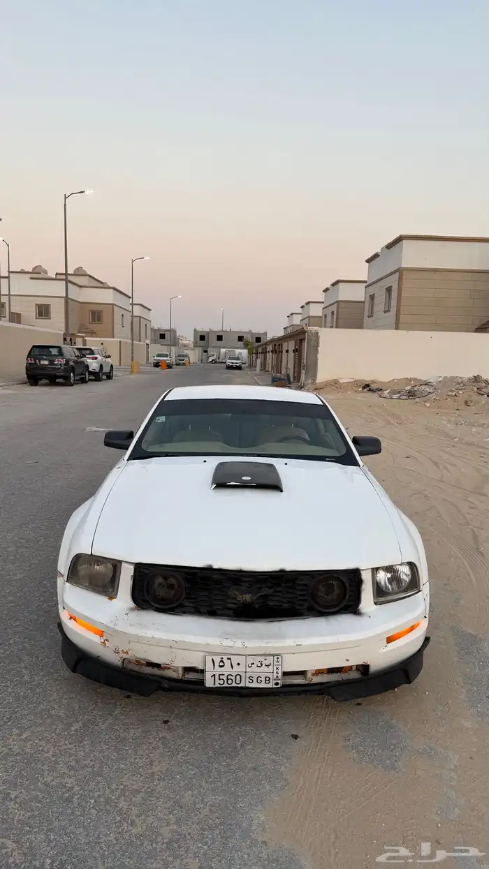 للبيع موستنج GT 2006 10