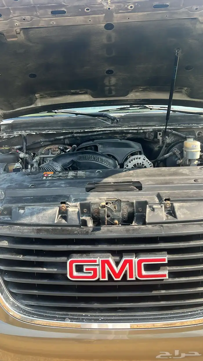 يوكن قصير بدي وكالة 2013 11