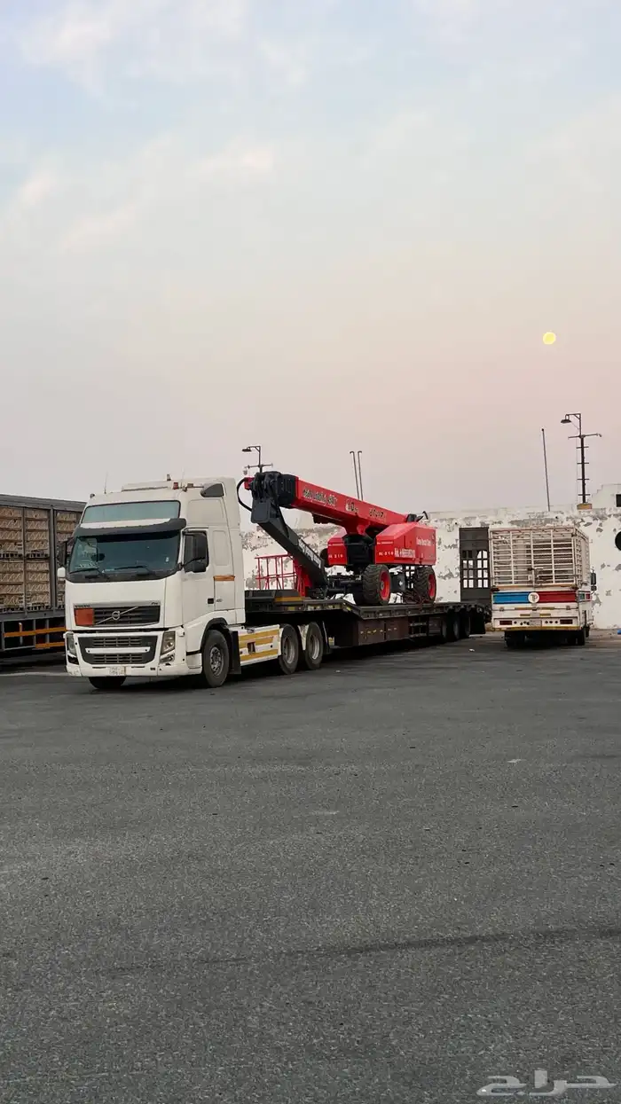 لوبد متواجد في سكاكا دومة الجندل 0