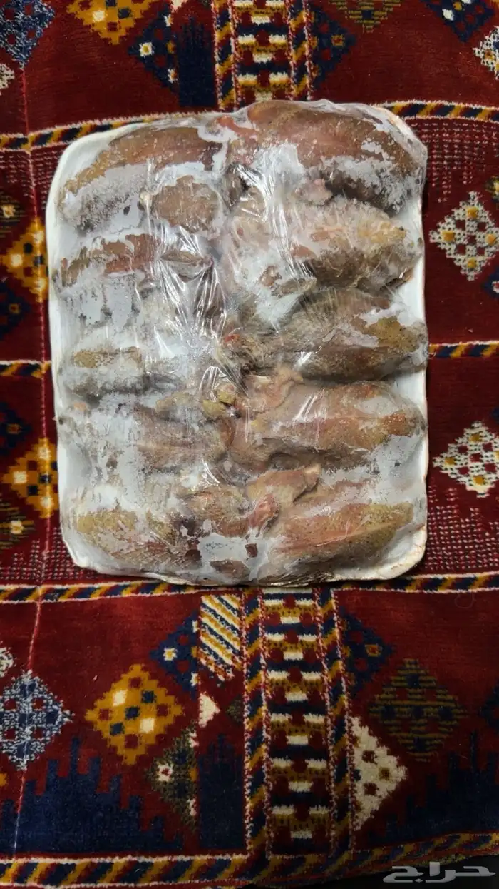 طيور قطا و قمري للبيع 0