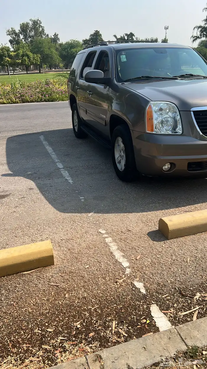 يوكن قصير بدي وكالة 2013 1