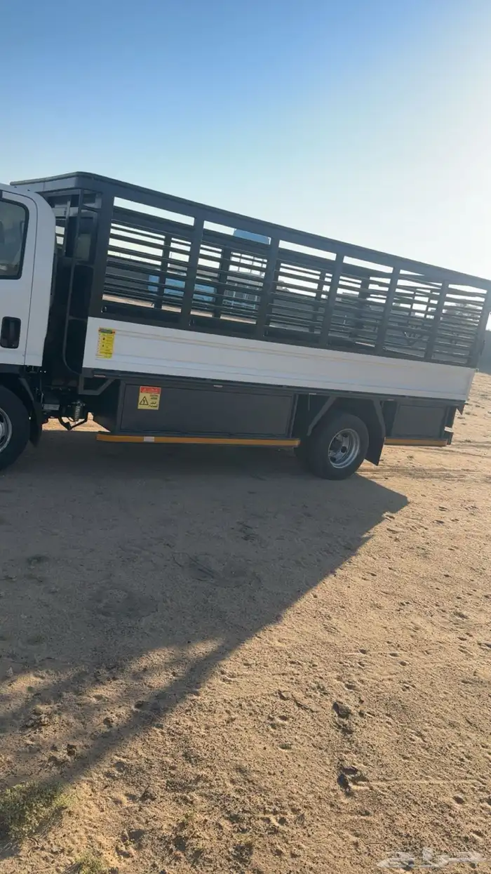 دينا ايسيزو 2025 للإيجار 2