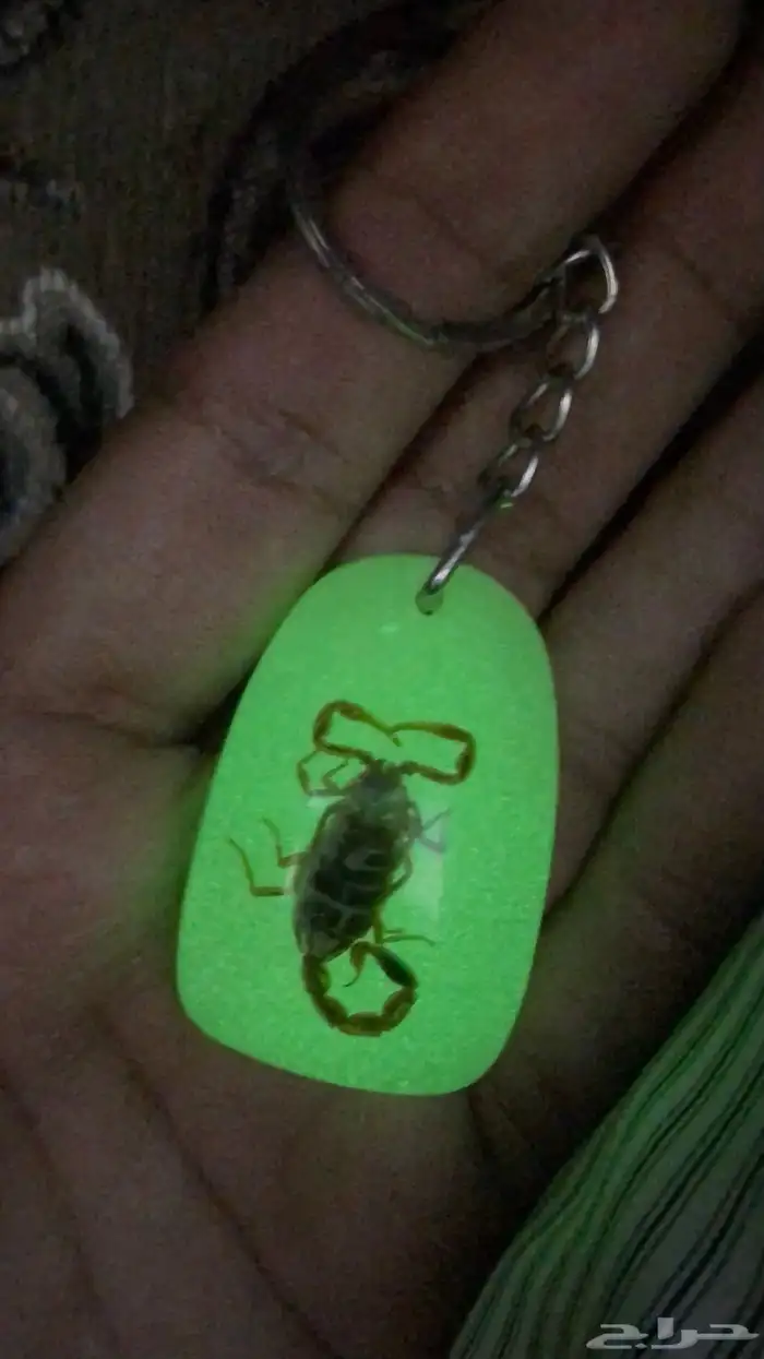 تعليقة عقرب مضيء 1