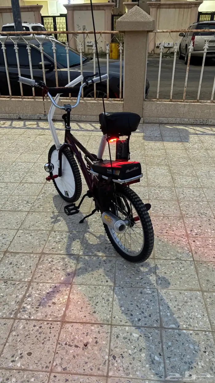 للبيع رامبو عنابي صيني درجه أولى (الاصلي) 2