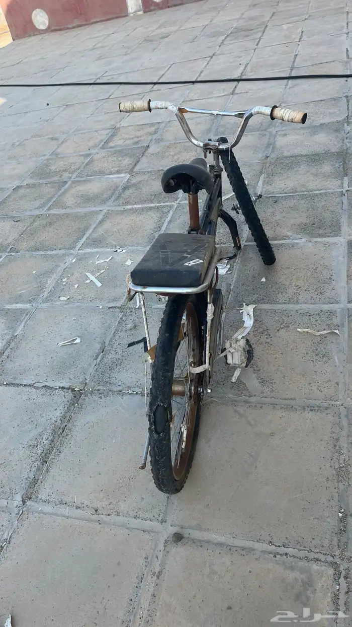 سيكل رامبو على السوم بس كفره الي ورا يبيله تغير 7