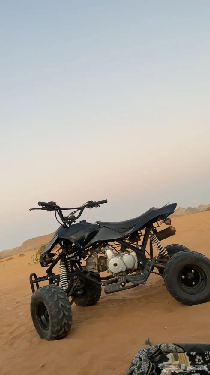 دباب فراشه 1