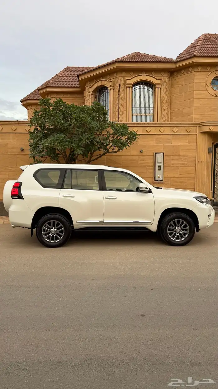 برادو 2020 خليجي 14