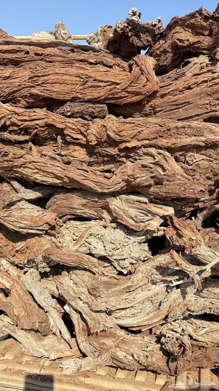 دفاية نفود 0