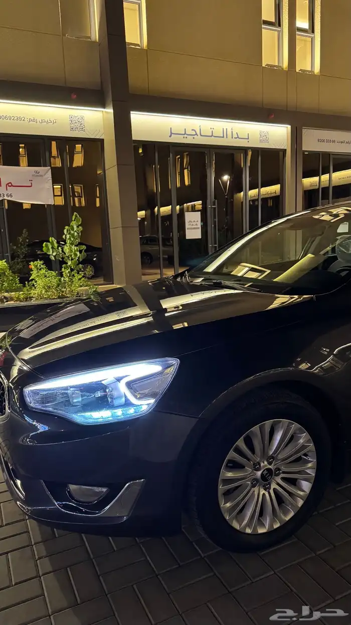 كادينزا 2014 1