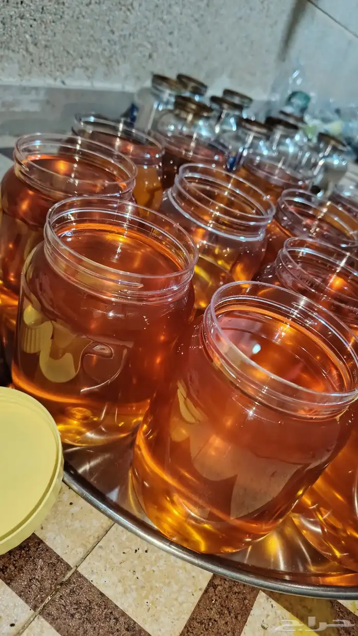 سمن على الشرط معاد فيها كلمه وحده على الشرط 1