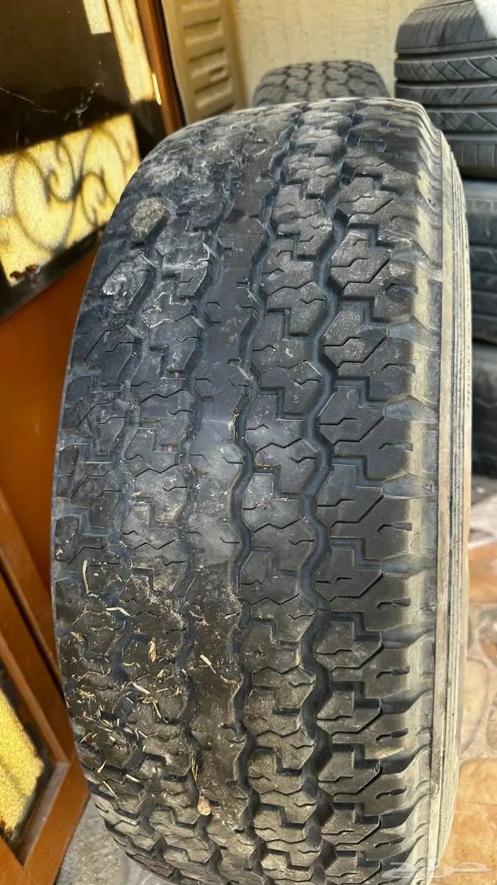 جنوط لكزز وكفرات دنلوب 10